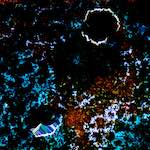 image: Image from the photoset &lsquo;damage (cclxxxv)&rsquo;.