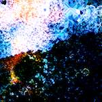 image: Image from the photoset &lsquo;damage (cclxxxvii)&rsquo;.