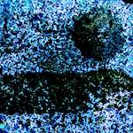 image: Image from the photoset &lsquo;damage (ccxci)&rsquo;.