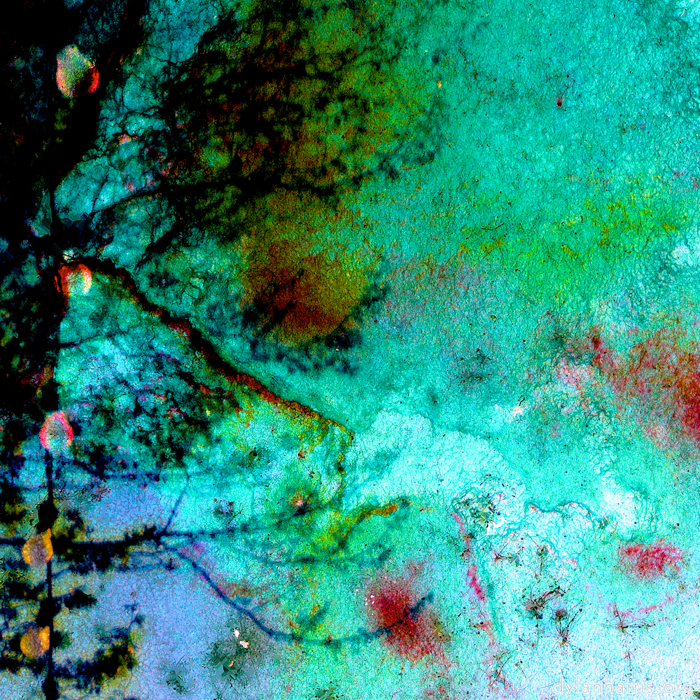 image: This is &lsquo;damage (cxci) 5&rsquo;.