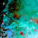 Fifth image from the photoset 'damage (cxci)'.