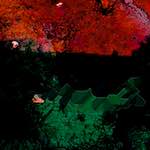 image: Image from the photoset &lsquo;damage (ccii)&rsquo;.