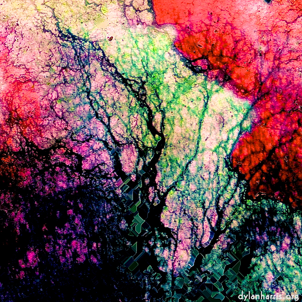 image: This is &lsquo;damage (ccxxvi) 6&rsquo;.