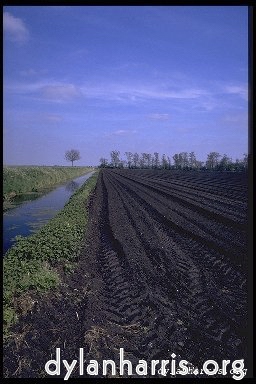 image: Voici &lsquo;holme fen 4&rsquo;.