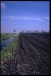 image: Image du photoset &lsquo;holme fen&rsquo;.