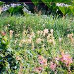 image: Image from the photoset &lsquo;thames poly (vi)&rsquo;.