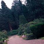 image: Image from the photoset &lsquo;thames poly (vi)&rsquo;.