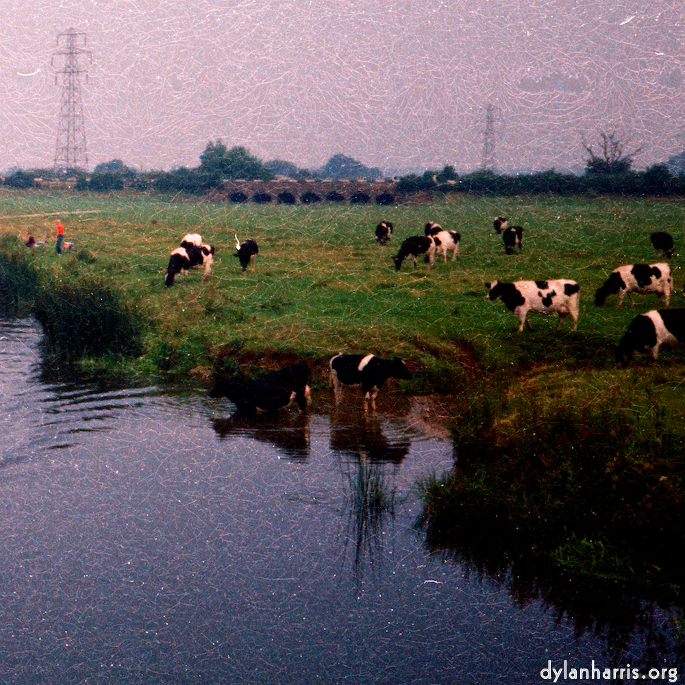 image: This is &lsquo;river beds. 6&rsquo;.