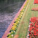 image: Image from the photoset &lsquo;river beds.&rsquo;.