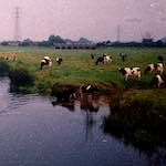 image: Image from the photoset &lsquo;river beds.&rsquo;.