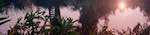 image: Image from the photoset &lsquo;tempsford (i)&rsquo;.