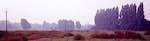 image: Image from the photoset &lsquo;tempsford (i)&rsquo;.