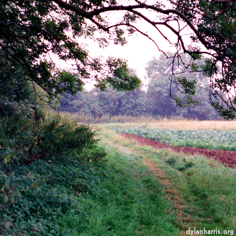 image: This is &lsquo;tempsford (ii) 1&rsquo;.