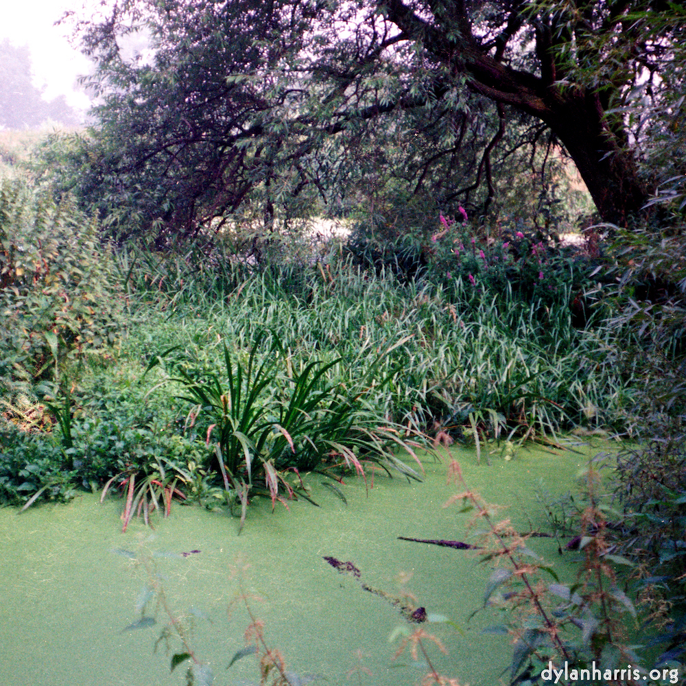 image: This is &lsquo;tempsford (ii) 3&rsquo;.