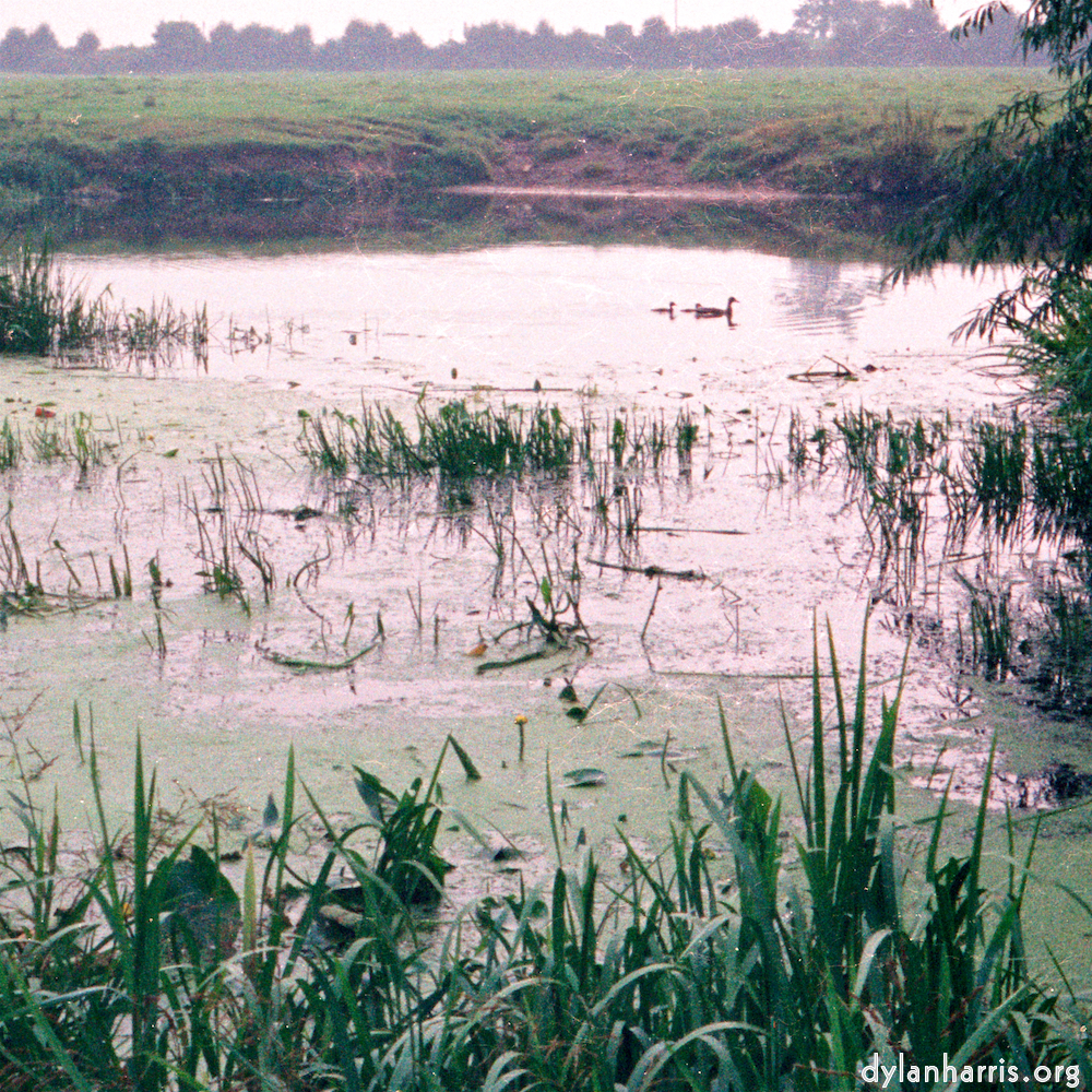 image: This is &lsquo;tempsford (ii) 9&rsquo;.