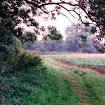 image: Image from the photoset &lsquo;tempsford (ii)&rsquo;.