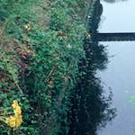 image: Image from the photoset &lsquo;tempsford (iii)&rsquo;.