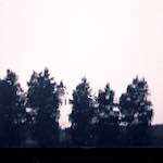 image: Image from the photoset &lsquo;woolwich (iv)&rsquo;.