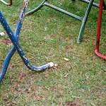 image: Image from the photoset &lsquo;thames poly (vii)&rsquo;.