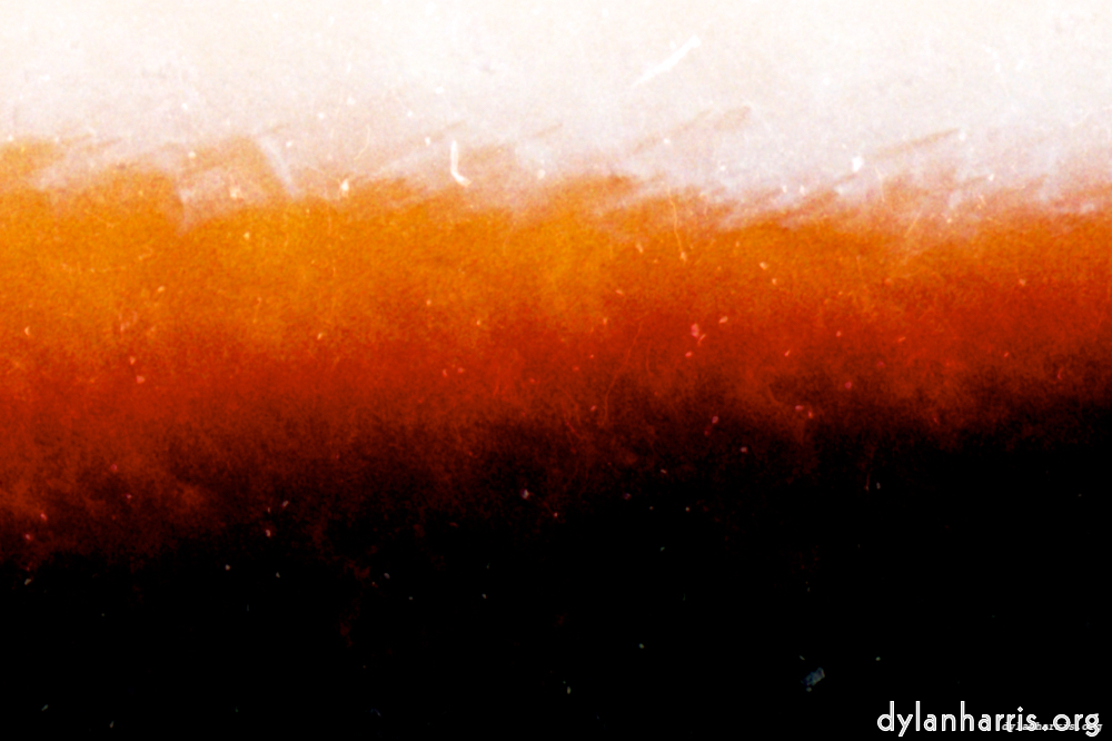 image: This is &lsquo;fire (ix) 4&rsquo;.