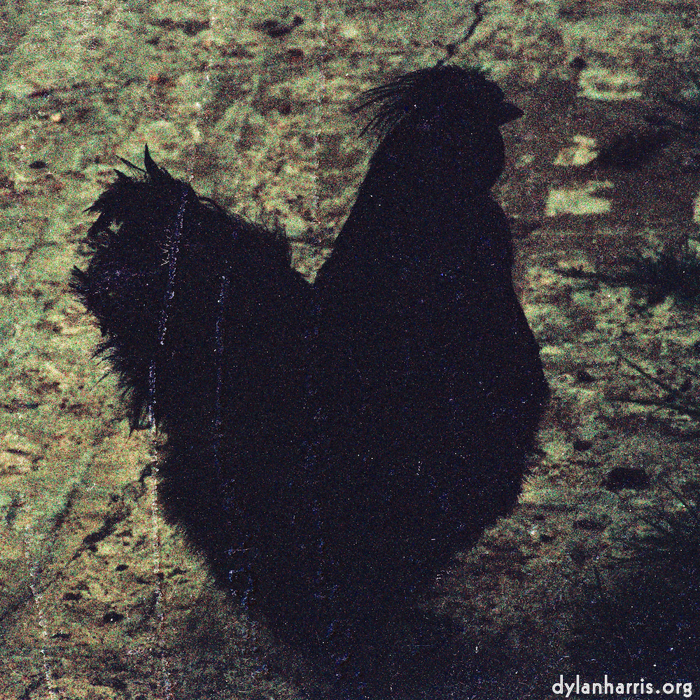 image: This is &lsquo;untitled (xxxv) 2&rsquo;.