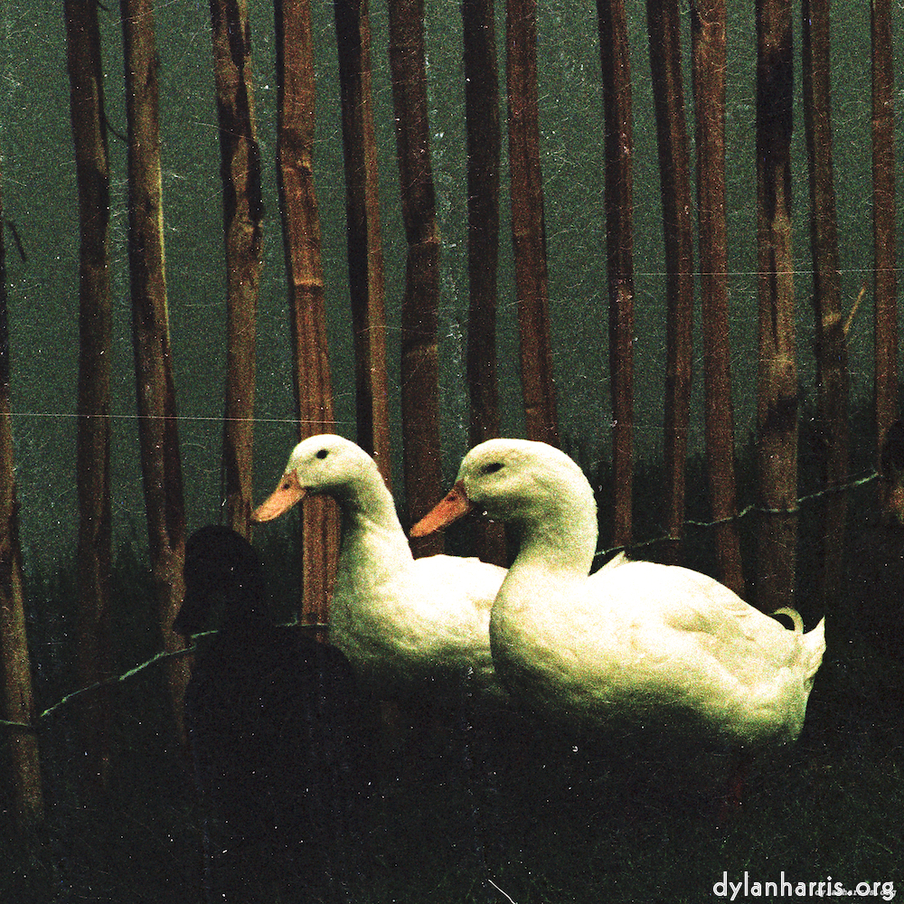 image: This is &lsquo;untitled (xxxvi) 1&rsquo;.