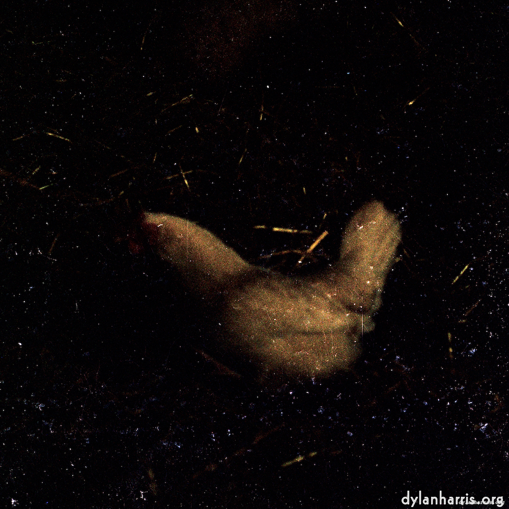 Image 'untitled (xxxvi) 3'.