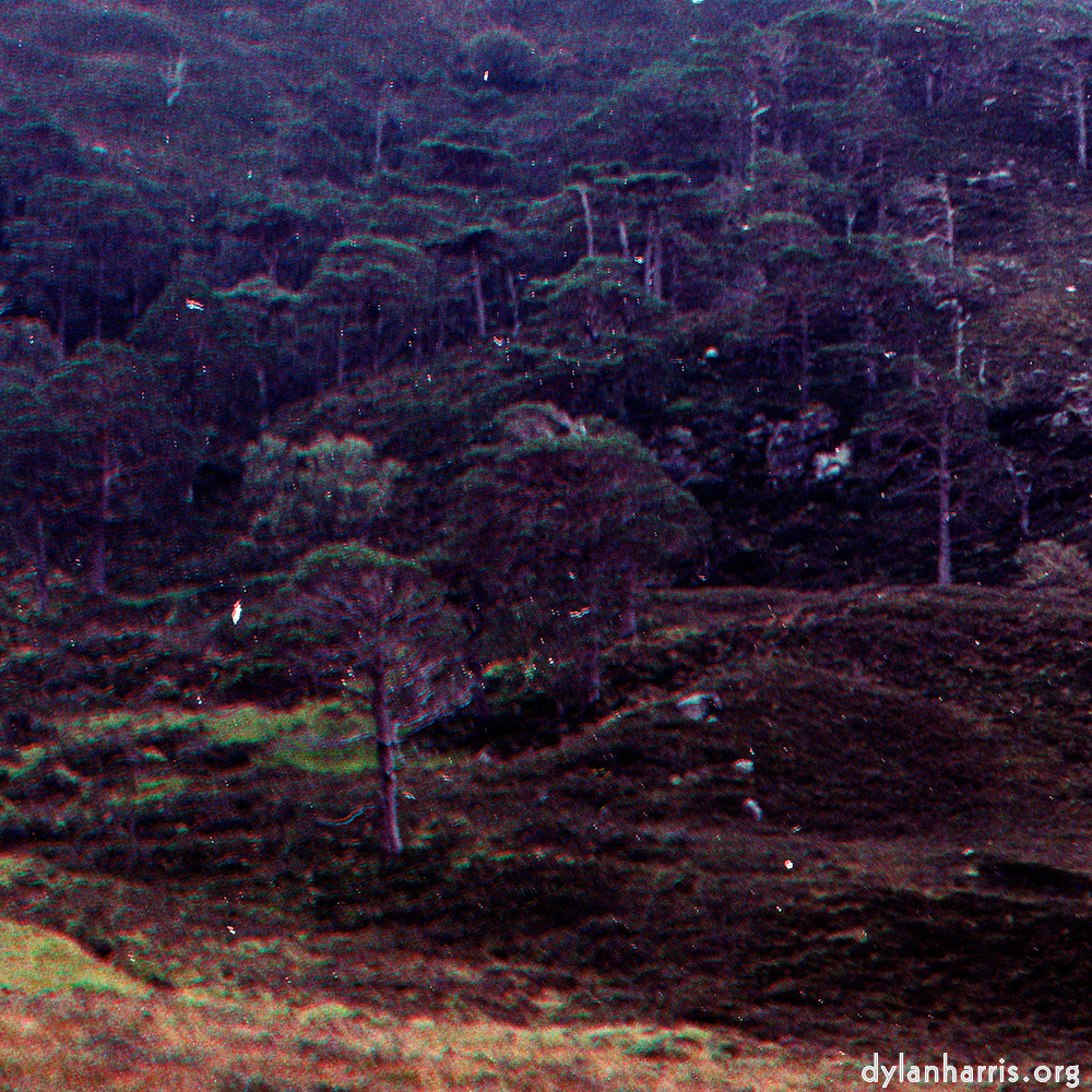 image: This is &lsquo;highlands (xiii) 4&rsquo;.