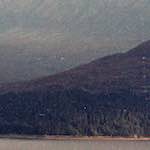 image: Image from the photoset &lsquo;highlands (xiii)&rsquo;.