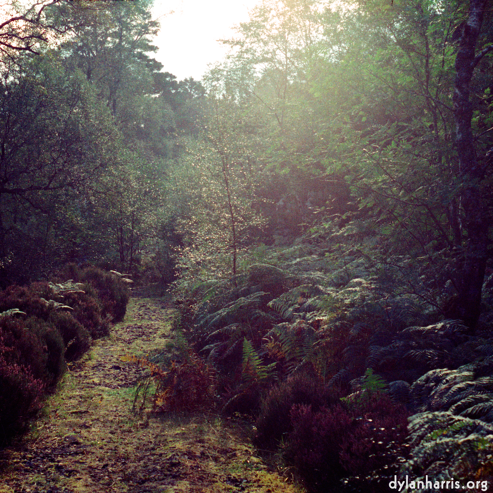 image: This is &lsquo;highlands (xiv) 1&rsquo;.