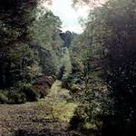 image: Image from the photoset &lsquo;highlands (xiv)&rsquo;.
