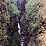 image: Image from the photoset &lsquo;highlands (xvi)&rsquo;.