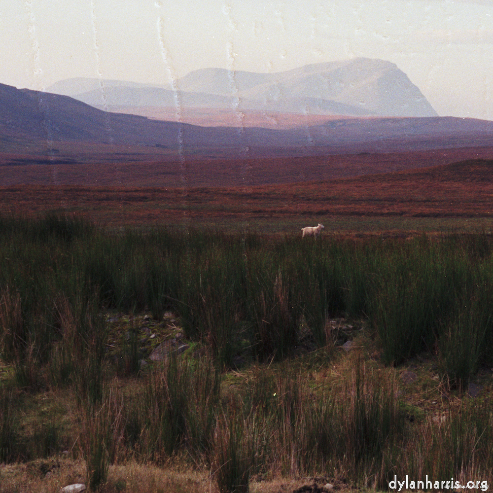 image: This is &lsquo;highlands (xviii) 2&rsquo;.