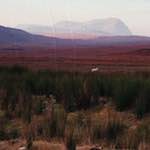 image: Image from the photoset &lsquo;highlands (xviii)&rsquo;.