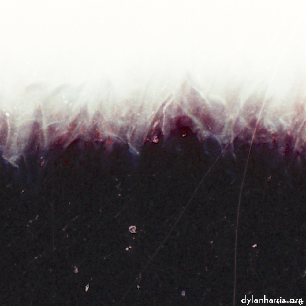 image: This is &lsquo;fire (xxxv) 3&rsquo;.