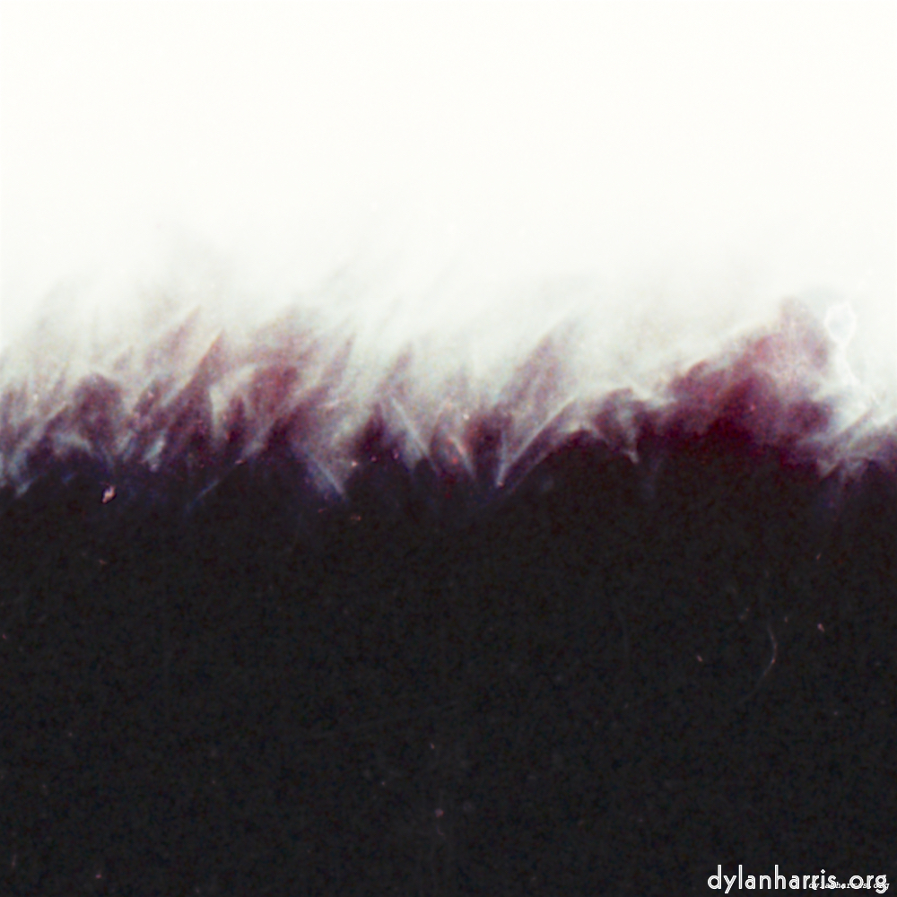 image: This is &lsquo;fire (xxxv) 4&rsquo;.