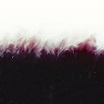 image: Image from the photoset &lsquo;fire (xxxv)&rsquo;.