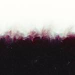 image: Image from the photoset &lsquo;fire (xxxv)&rsquo;.