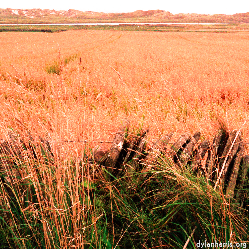 image: This is &lsquo;north (i) 1&rsquo;.