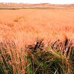 image: Image from the photoset &lsquo;north (i)&rsquo;.