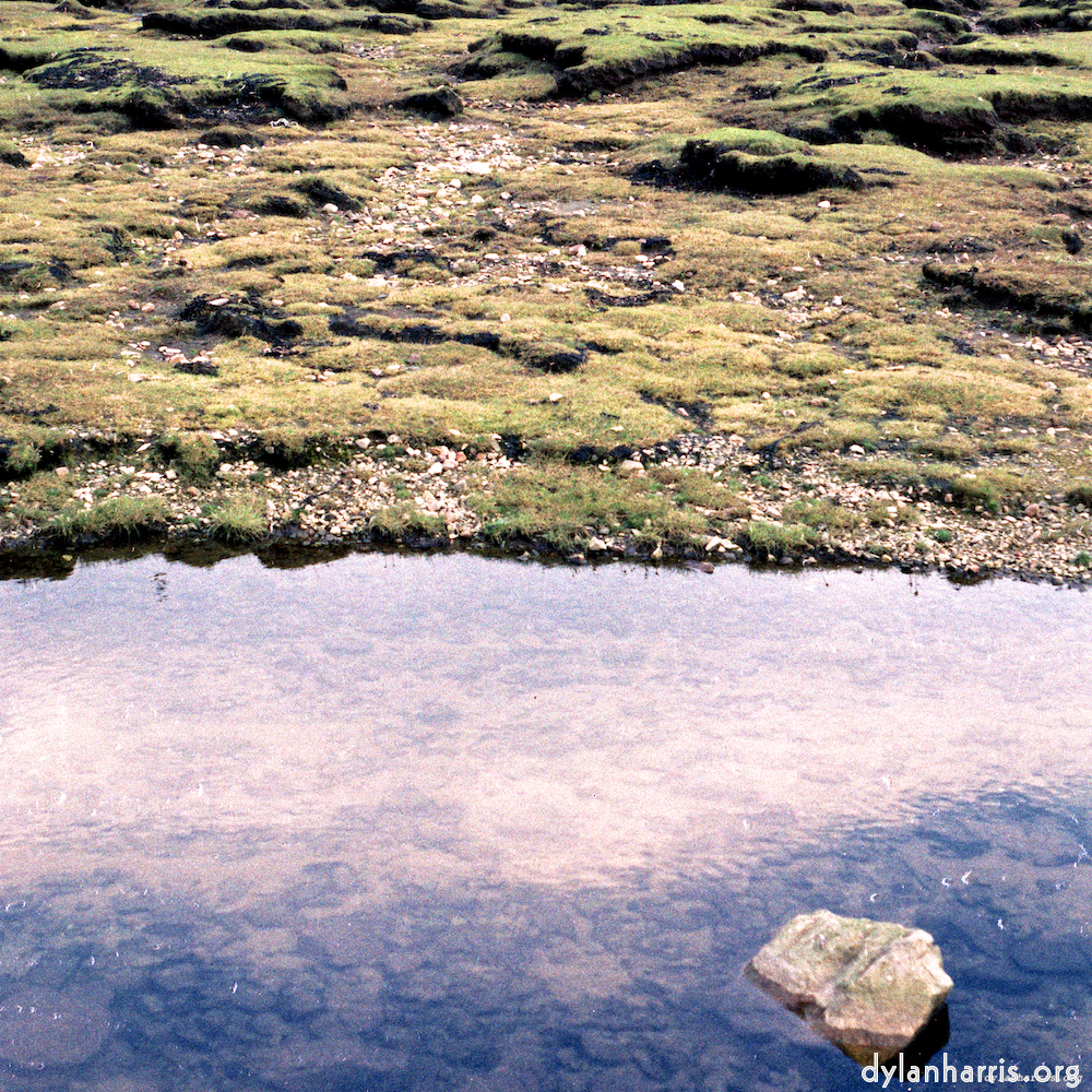 image: This is &lsquo;highlands (xx) 1&rsquo;.