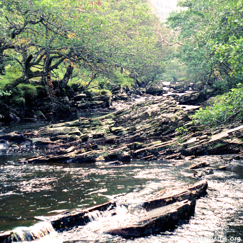 image: This is &lsquo;highlands (xx) 3&rsquo;.