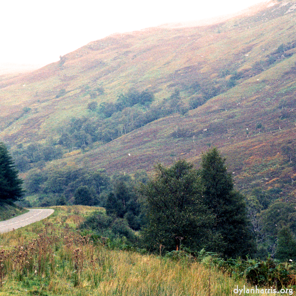 image: This is &lsquo;highlands (xx) 4&rsquo;.