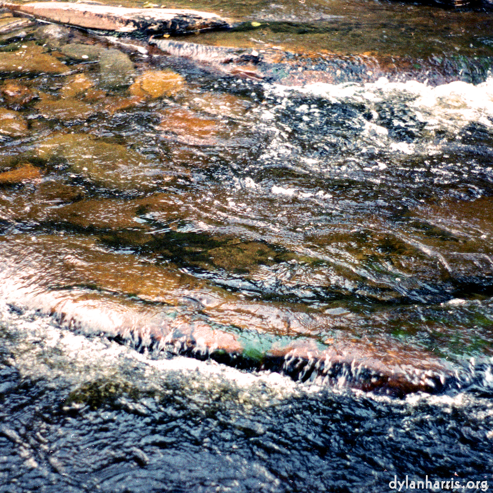 image: This is &lsquo;highlands (xx) 5&rsquo;.