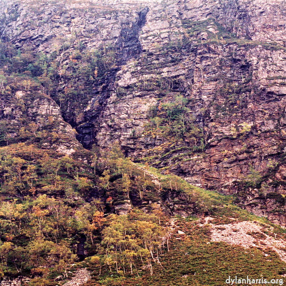 image: This is &lsquo;highlands (xx) 6&rsquo;.