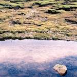 image: Image from the photoset &lsquo;highlands (xx)&rsquo;.