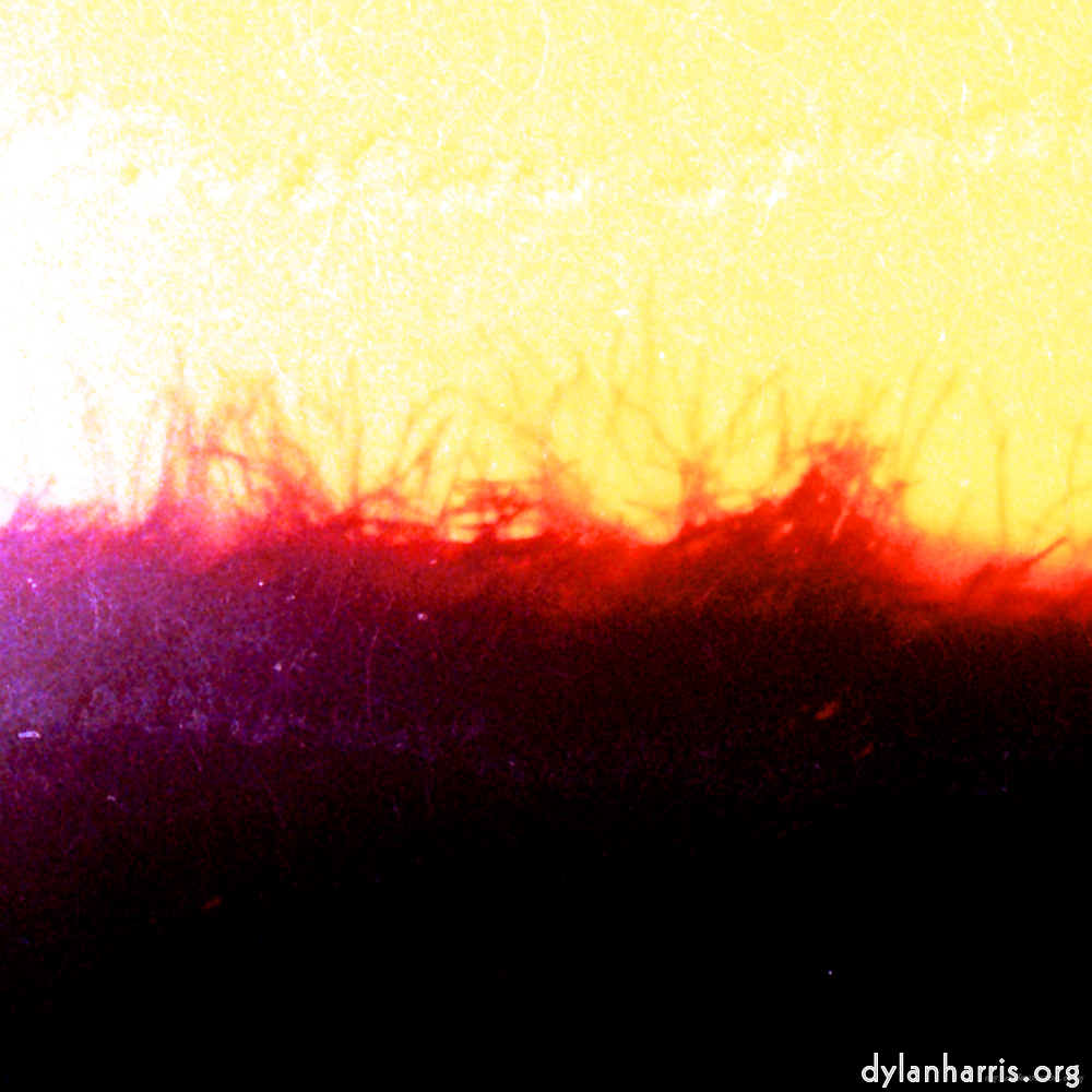 image: This is &lsquo;fire (xxxviii) 1&rsquo;.