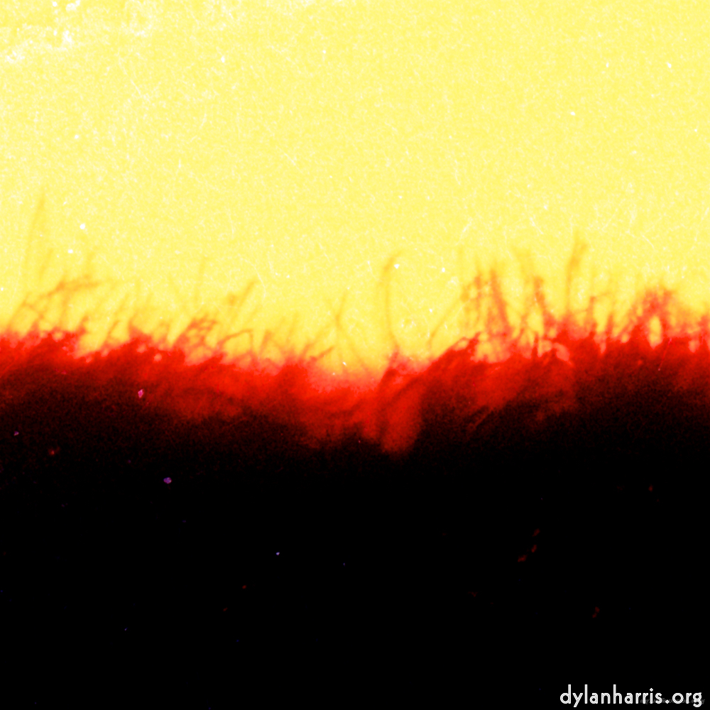 image: This is &lsquo;fire (xxxviii) 2&rsquo;.
