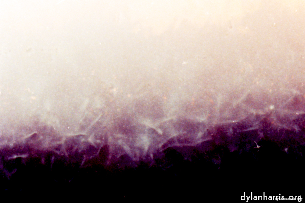 image: This is &lsquo;fire (xxxi) 1&rsquo;.