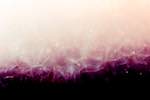 image: Image from the photoset &lsquo;fire (xxxi)&rsquo;.